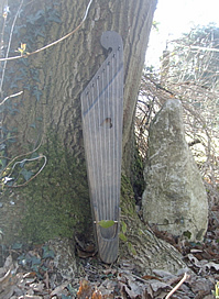 Finnish kantele